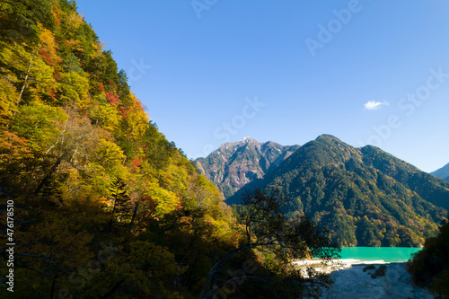 長野県大町市の紅葉真っ盛りの高瀬渓谷を、上空から空撮