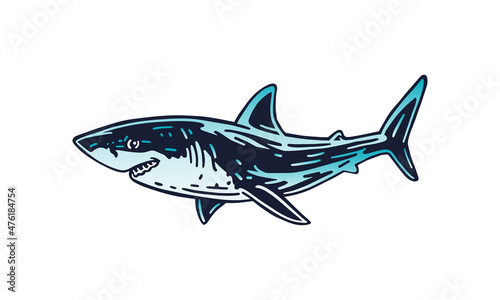 shark_isolated