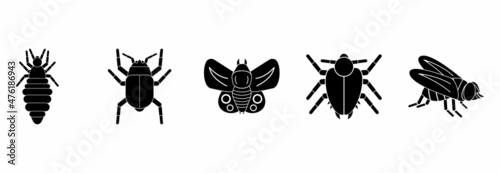 insect icon set, insect vector set sign symbol © hartini