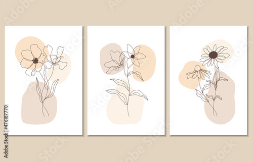 Set of three abstract botanical posters, vector illustration