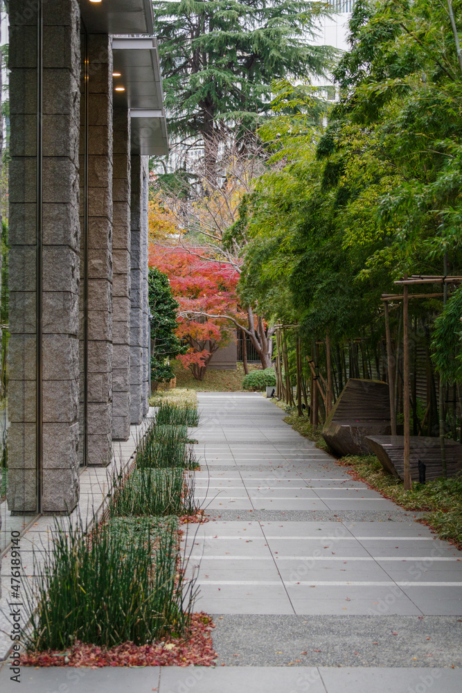 通路の先には紅葉がある　東京、赤坂6丁目の街の風景