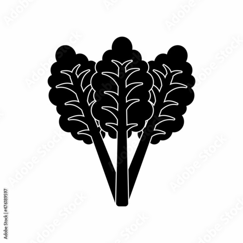 kale leaves icon, kale leaves vector sign symbol