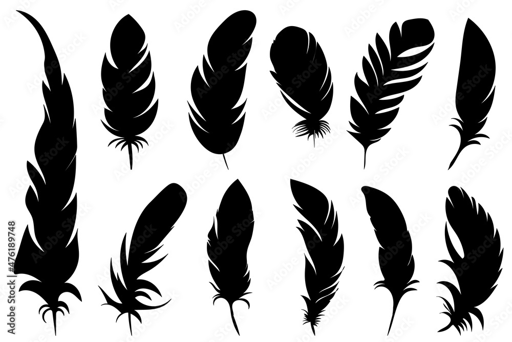 black silhouette bird feather, set, collection isolated, vector Stock ...