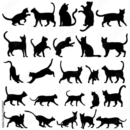 black silhouette cat, set, collection isolated, vector