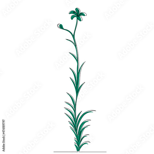 flower green sketch  outline  vector  isolated