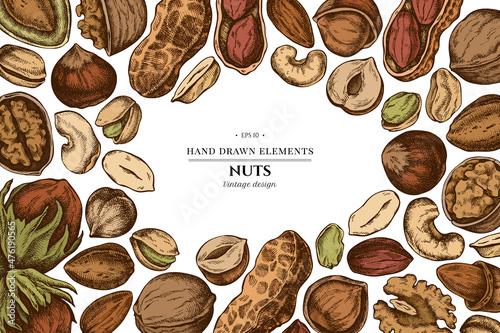 Colored elements design with cashew, peanut, pistachio, hazelnut, almond, walnut