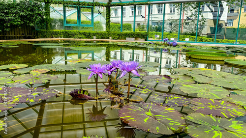 Botanic garden in Liberec, the city of the Czech Republic photo