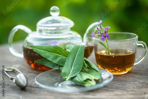 cup of herbal tea with fresh leaves and flowers Matthiola incana, Brompton stock, common stock, hoary stock, ten-week stock, and gilly-flower tea with fresh quotes, which can give an antiseptic effect © Maryna