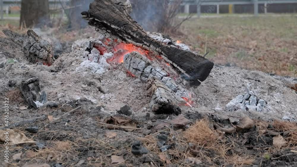 Smoldering log and embers of a campfire in nature. Close-up Smoldering log and embers of a campfire in nature. Close-up