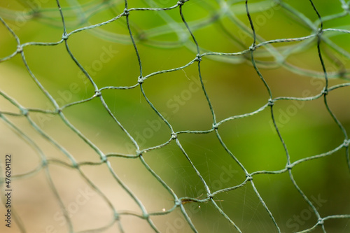 The net is made of white-green plastic, it's been used, the background of the green leaves is blurry