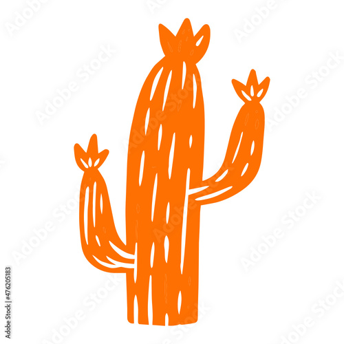 illustration of an orange cactus
