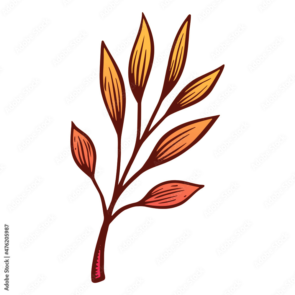 autumn leaves vector autumn leaves vector