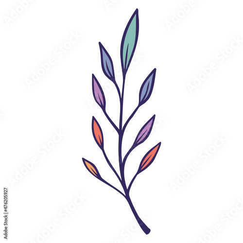 illustration of a plant