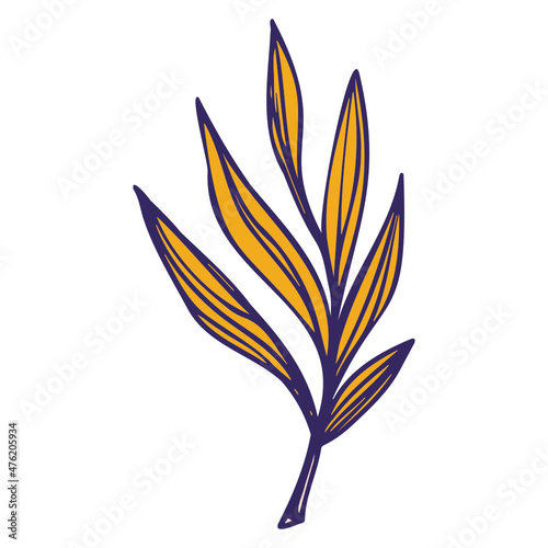 illustration of an tree
