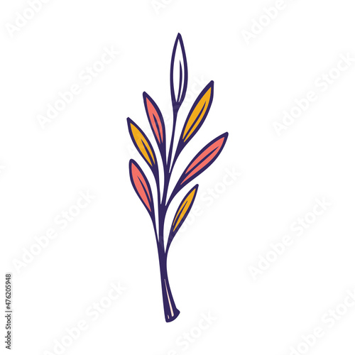 colorful flower
