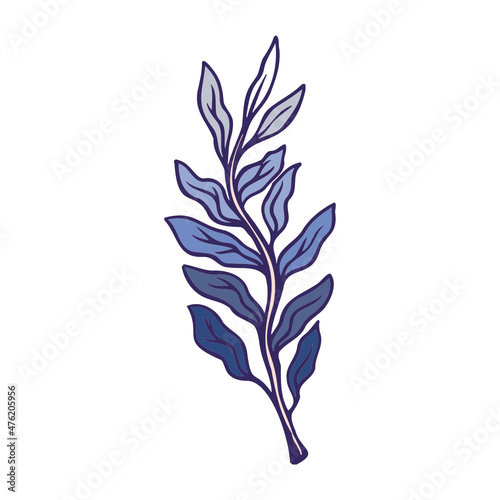 branch with leaves