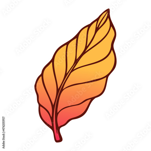 leaf isolated on white background