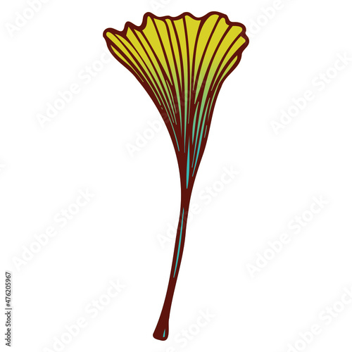 Set of flower leaf
