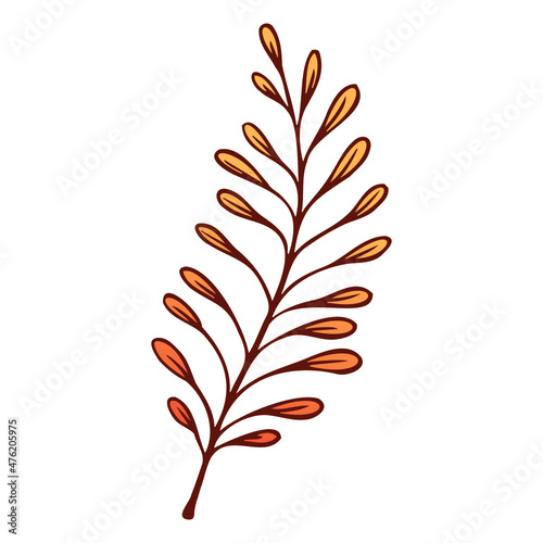 leaves isolated on white