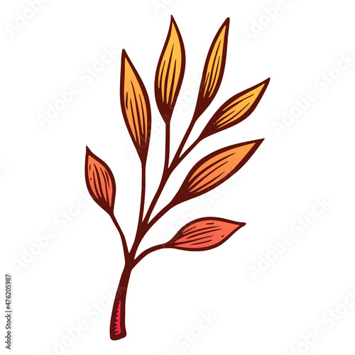 autumn leaves vector