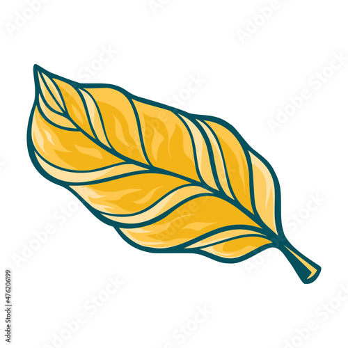 set of Hand drawn Leaf 