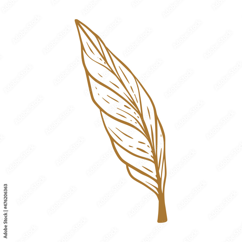 Hand drawn Leaf isolated on white background Hand drawn Leaf isolated on white background