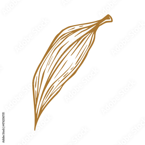 Hand drawn Leaf 