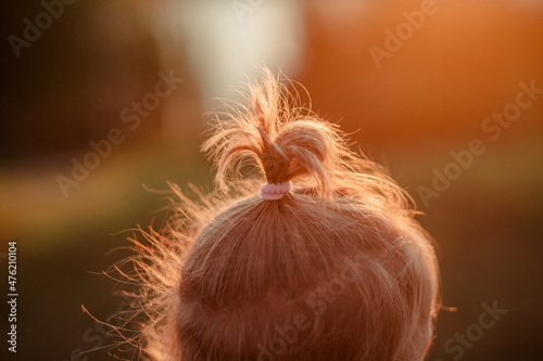 Fototapeta Naklejka Na Ścianę i Meble -  hair of the hair