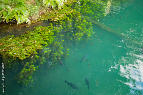 This Is a Beautiful Brazilian Lake