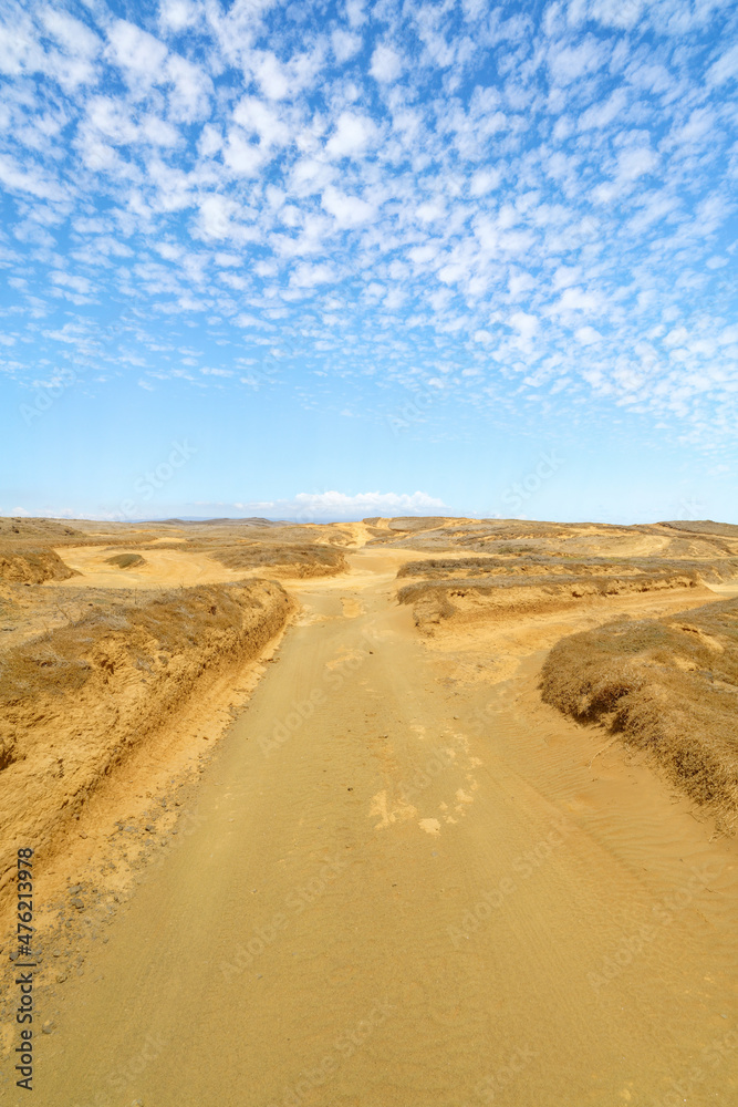 sand dunes in the desert