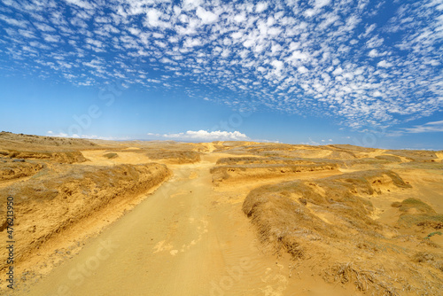 road in the desert