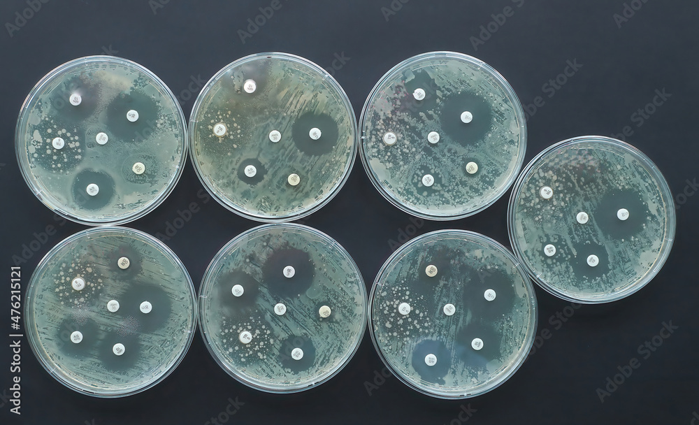 antimicrobial susceptibility test Antibiogram Antibiotic resistance bacteria  - obrazy, fototapety, plakaty 