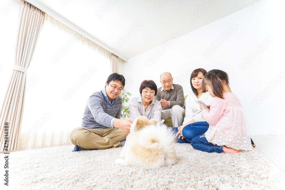 家族で犬と遊ぶ幸せな三世代ファミリー 家族で犬と遊ぶ幸せな三世代ファミリー