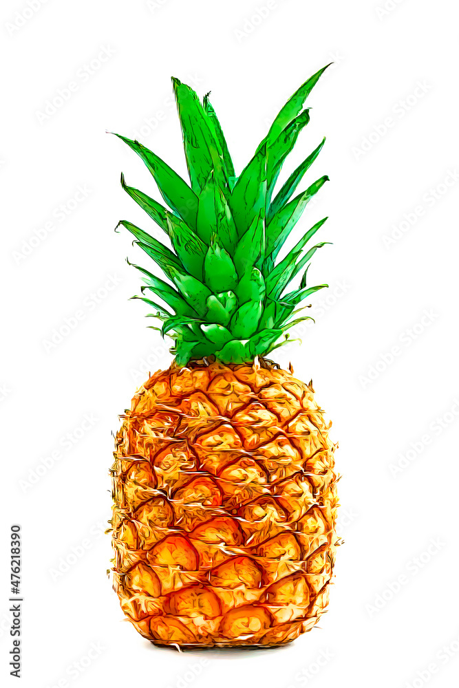 Pineapple Fruit on isolated white background with shadow Pineapple Fruit on isolated white background with shadow