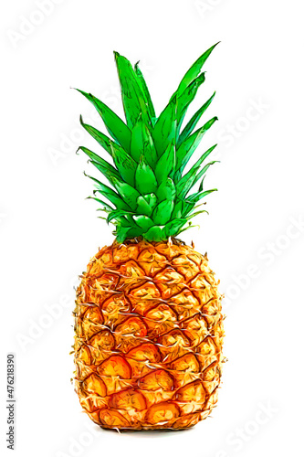 Pineapple Fruit on isolated white background with shadow