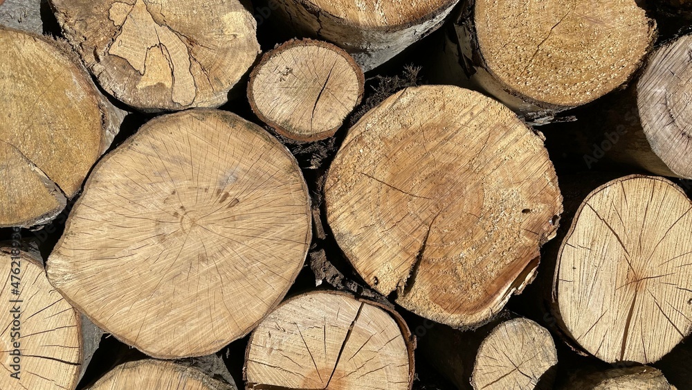 Naklejka premium Timber logs background