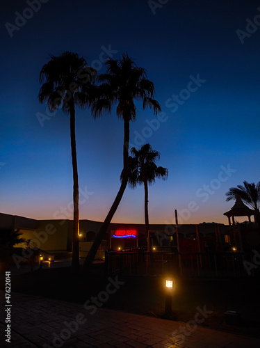Palm trees and buildings in Sharm el Sheikh, Egypt. Bottom view. Structures and nature of Africa.