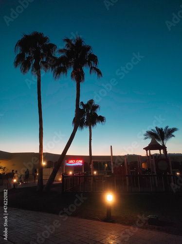 Palm trees and buildings in Sharm el Sheikh, Egypt. Bottom view. Structures and nature of Africa.