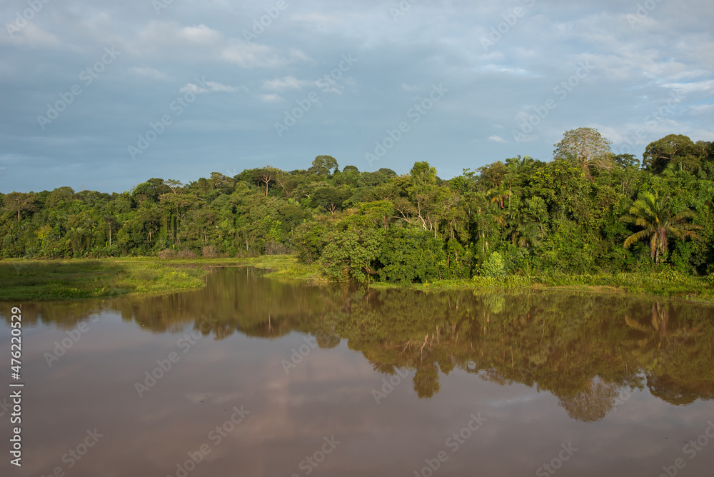 Rainforest in Panama with river near gatun lake