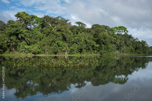Rainforest near gatun lake Panama, Central America