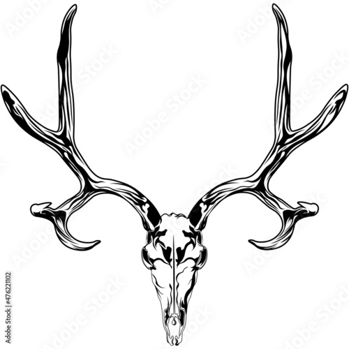 Deer skull SVG design for hunter logo