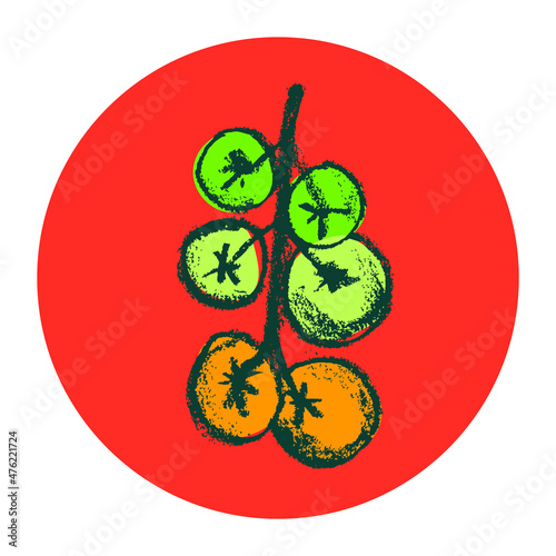 Hand-drawn Cherry tomato drawings. Natural tomatoes vector Illustration. Pastel drawing of red ripe tomato for seed label, packaging design catchup, banner organic agriculture, vegetarian food symbol