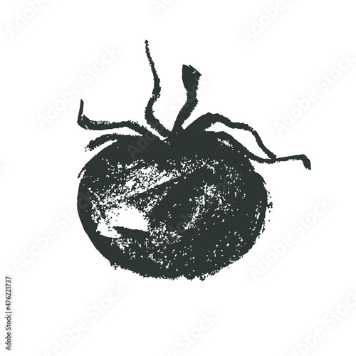 Hand-drawn ripe tomato drawing. Natural tomatoes vector Illustration. Pastel drawings of organic tomato for seed label, packaging design catchup, banner organic agriculture, vegetarian food symbol