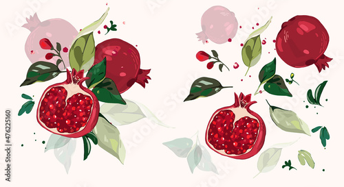  Big vector Set of Garnet branch. green leaves, fruit, flowers