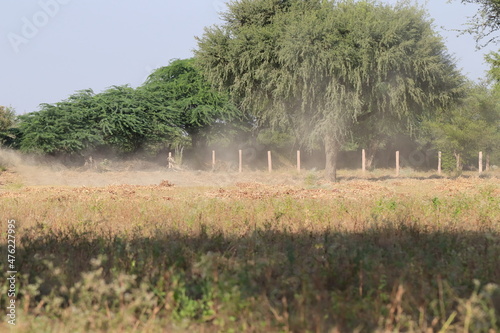 soil particle dust blowing in the wind in the field