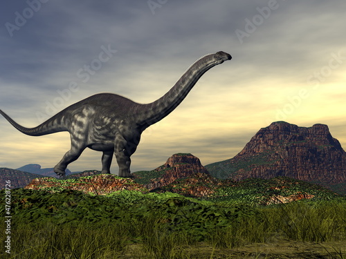 Fototapeta Naklejka Na Ścianę i Meble -  Apatosaurus dinosaur in the desert - 3D render