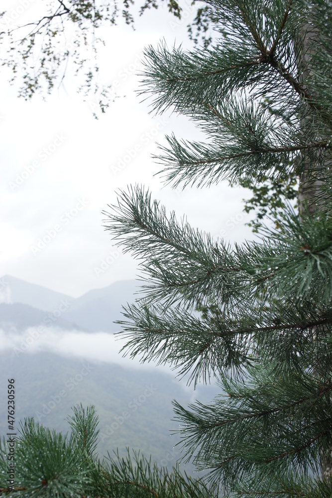 Naklejka premium Mountain landscape. Rosa Khutor. Krasnaya Polyana. Russia. Sochi. Autumn 2021.