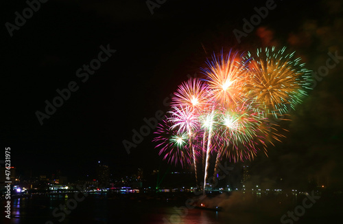 Fantastic multi-color fireworks splashing in the night sky © jobi_pro