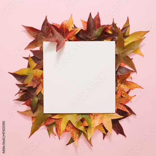 Autumn flat lay composition with colorful leaves and empty white square space for text