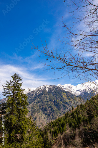 winter landscape mountains. Winter forest covered with snow. New Year`s landscape. Dramatic wintry scene. 